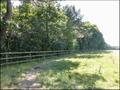 propriete equestre, haras, elevage, centre equestre, a vendre, vente, achat, immobilier, pays loire atlantique, 44, nantes, la baule, bretagne, morbihan, vannes, 56, french properties for sale, equestrian property, hectare, ecurie, plage, mer, rurales
