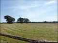 propriete equestre, haras, elevage, centre equestre, a vendre, vente, achat, immobilier, pays loire atlantique, 44, nantes, la baule, bretagne, morbihan, vannes, 56, french properties for sale, equestrian property, hectare, ecurie, plage, mer, rurales