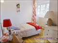 maison, a vendre, propriete, piscine, vente, achat, immobilier, bois, calme, riviere, 44640, rouans, cheix en retz, 44680, sainte pazanne, 44320, arthon en retz, saint pere en retz, french house for sale, pays loire atlantique, 44, french property