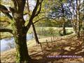 maison, a vendre, propriete, piscine, vente, achat, immobilier, bois, calme, riviere, 44640, rouans, cheix en retz, 44680, sainte pazanne, 44320, arthon en retz, saint pere en retz, french house for sale, pays loire atlantique, 44, french property