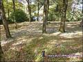 maison, a vendre, propriete, piscine, vente, achat, immobilier, bois, calme, riviere, 44640, rouans, cheix en retz, 44680, sainte pazanne, 44320, arthon en retz, saint pere en retz, french house for sale, pays loire atlantique, 44, french property
