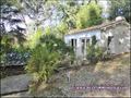 maison, a vendre, propriete, piscine, vente, achat, immobilier, bois, calme, riviere, 44640, rouans, cheix en retz, 44680, sainte pazanne, 44320, arthon en retz, saint pere en retz, french house for sale, pays loire atlantique, 44, french property