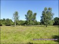 a vendre, propriete, maison, etang, terrain, loisir, pêche, gite, b&b, b and b, chambre d'hote, grange, hectare, achat, camping, prl, immobilier, french properties for sale, vendee, 85, france, pays loire atlantique, 44, french property, real estate
