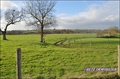 propriete, ferme, propriete equestre, propriete rurale, a vendre, vente, achat, terre agricole, haras, élevage, salle reception, maison, dependance, nantes, ancenis, angers, 44, 49, grande propriete, immobilier, pays loire, loire atlantique, french proper