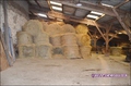 propriete, ferme, propriete equestre, propriete rurale, a vendre, vente, achat, terre agricole, haras, élevage, salle reception, maison, dependance, nantes, ancenis, angers, 44, 49, grande propriete, immobilier, pays loire, loire atlantique, french proper