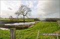 propriete, ferme, propriete equestre, propriete rurale, a vendre, vente, achat, terre agricole, haras, élevage, salle reception, maison, dependance, nantes, ancenis, angers, 44, 49, grande propriete, immobilier, pays loire, loire atlantique, french proper