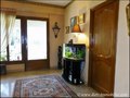 maison a vendre la roche sur yon, maison a vendre aubigny, maison a vendre landeronde, maison a vendre les clouzeaux, maison piscine a vendre, vendee, 85, maison dependances a vendre, vente maison de charme, achat maison, french house for sale immobilier 