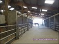 propriete equestre, haras, elevage, chevaux, centre entrainement, ecurie, centre equestre, propriete hectare, propriete rurale, maison hectare, propriete agricole, propriete rurale, a vendre, vente, maison hectare, 44, loire atlantique, pays de la loire