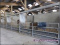 propriete equestre, haras, elevage, chevaux, centre entrainement, ecurie, centre equestre, propriete hectare, propriete rurale, maison hectare, propriete agricole, propriete rurale, a vendre, vente, maison hectare, 44, loire atlantique, pays de la loire