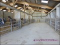 propriete equestre, haras, elevage, chevaux, centre entrainement, ecurie, centre equestre, propriete hectare, propriete rurale, maison hectare, propriete agricole, propriete rurale, a vendre, vente, maison hectare, 44, loire atlantique, pays de la loire