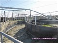 propriete equestre, haras, elevage, chevaux, centre entrainement, ecurie, centre equestre, propriete hectare, propriete rurale, maison hectare, propriete agricole, propriete rurale, a vendre, vente, maison hectare, 44, loire atlantique, pays de la loire