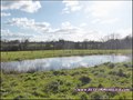 propriete equestre, haras, elevage, chevaux, centre entrainement, ecurie, centre equestre, propriete hectare, propriete rurale, maison hectare, propriete agricole, propriete rurale, a vendre, vente, maison hectare, 44, loire atlantique, pays de la loire