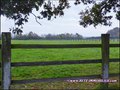 propriete equestre, haras, elevage, chevaux, centre entrainement, ecurie, centre equestre, propriete hectare, propriete rurale, maison hectare, propriete agricole, propriete rurale, a vendre, vente, maison hectare, 44, loire atlantique, pays de la loire