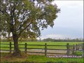 propriete equestre, haras, elevage, chevaux, centre entrainement, ecurie, centre equestre, propriete hectare, propriete rurale, maison hectare, propriete agricole, propriete rurale, a vendre, vente, maison hectare, 44, loire atlantique, pays de la loire