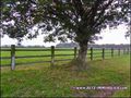 propriete equestre, haras, elevage, chevaux, centre entrainement, ecurie, centre equestre, propriete hectare, propriete rurale, maison hectare, propriete agricole, propriete rurale, a vendre, vente, maison hectare, 44, loire atlantique, pays de la loire