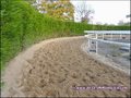 propriete equestre, haras, elevage, chevaux, centre entrainement, ecurie, centre equestre, propriete hectare, propriete rurale, maison hectare, propriete agricole, propriete rurale, a vendre, vente, maison hectare, 44, loire atlantique, pays de la loire