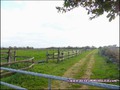 propriete equestre, haras, elevage, chevaux, centre entrainement, ecurie, centre equestre, propriete hectare, propriete rurale, maison hectare, propriete agricole, propriete rurale, a vendre, vente, maison hectare, 44, loire atlantique, pays de la loire