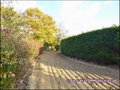 propriete equestre, haras, elevage, chevaux, centre entrainement, ecurie, centre equestre, propriete hectare, propriete rurale, maison hectare, propriete agricole, propriete rurale, a vendre, vente, maison hectare, 44, loire atlantique, pays de la loire