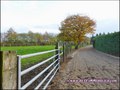 propriete equestre, haras, elevage, chevaux, centre entrainement, ecurie, centre equestre, propriete hectare, propriete rurale, maison hectare, propriete agricole, propriete rurale, a vendre, vente, maison hectare, 44, loire atlantique, pays de la loire