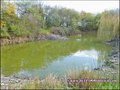 propriete equestre, haras, elevage, chevaux, centre entrainement, ecurie, centre equestre, propriete hectare, propriete rurale, maison hectare, propriete agricole, propriete rurale, a vendre, vente, maison hectare, 44, loire atlantique, pays de la loire