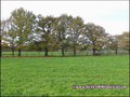 propriete equestre, haras, elevage, chevaux, centre entrainement, ecurie, centre equestre, propriete hectare, propriete rurale, maison hectare, propriete agricole, propriete rurale, a vendre, vente, maison hectare, 44, loire atlantique, pays de la loire
