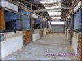 propriete equestre, haras, elevage, chevaux, centre entrainement, ecurie, centre equestre, propriete hectare, propriete rurale, maison hectare, propriete agricole, propriete rurale, a vendre, vente, maison hectare, 44, loire atlantique, pays de la loire