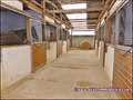 propriete equestre, haras, elevage, chevaux, centre entrainement, ecurie, centre equestre, propriete hectare, propriete rurale, maison hectare, propriete agricole, propriete rurale, a vendre, vente, maison hectare, 44, loire atlantique, pays de la loire
