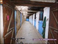 propriete equestre, haras, elevage, chevaux, centre entrainement, ecurie, centre equestre, propriete hectare, propriete rurale, maison hectare, propriete agricole, propriete rurale, a vendre, vente, maison hectare, 44, loire atlantique, pays de la loire
