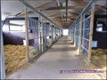 propriete equestre, haras, elevage, chevaux, centre entrainement, ecurie, centre equestre, propriete hectare, propriete rurale, maison hectare, propriete agricole, propriete rurale, a vendre, vente, maison hectare, 44, loire atlantique, pays de la loire
