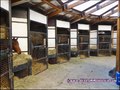 propriete equestre, haras, elevage, chevaux, centre entrainement, ecurie, centre equestre, propriete hectare, propriete rurale, maison hectare, propriete agricole, propriete rurale, a vendre, vente, maison hectare, 44, loire atlantique, pays de la loire