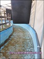 propriete equestre, haras, elevage, chevaux, centre entrainement, ecurie, centre equestre, propriete hectare, propriete rurale, maison hectare, propriete agricole, propriete rurale, a vendre, vente, maison hectare, 44, loire atlantique, pays de la loire