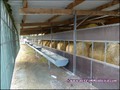 propriete equestre, haras, elevage, chevaux, centre entrainement, ecurie, centre equestre, propriete hectare, propriete rurale, maison hectare, propriete agricole, propriete rurale, a vendre, vente, maison hectare, 44, loire atlantique, pays de la loire