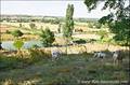 immobilier, vente, achat, maison a vendre, demeure, propriete, equestre, maison caractere, dependances, house for sale, property, real estate, vendee, puy du fou, cholet, mauleon, mortagne sevre, st larent sevre, les herbiers, 85, 79, 49, maison charme