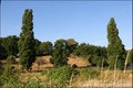 immobilier, vente, achat, maison a vendre, demeure, propriete, equestre, maison caractere, dependances, house for sale, property, real estate, vendee, puy du fou, cholet, mauleon, mortagne sevre, st larent sevre, les herbiers, 85, 79, 49, maison charme