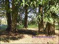 chateau,domaine,manoir,belle demeure,maison charme,propriete,immobilier,caractere,gite,b&b,chambre hote,dependance,salle reception,mariage,seminaire,evenementiel,pays de retz,nantes,loire atlantique,44,pornic,44210,st brevin,44250,a vendre,castle for sale