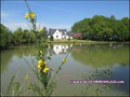 Maison, propriete, etang, hectare, golf, bretesche, propriete equestre, maison charme, maison campagne, isolee, nantes, vannes, pontchateau, 44160, missillac, 44780, penestin, la baule, loire atlantique, 44, morbihan, 56, vente, agence immobiliere
