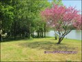 Maison, propriete, etang, hectare, golf, bretesche, propriete equestre, maison charme, maison campagne, isolee, nantes, vannes, pontchateau, 44160, missillac, 44780, penestin, la baule, loire atlantique, 44, morbihan, 56, vente, agence immobiliere