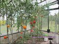 Maison, propriete, etang, hectare, golf, bretesche, propriete equestre, maison charme, maison campagne, isolee, nantes, vannes, pontchateau, 44160, missillac, 44780, penestin, la baule, loire atlantique, 44, morbihan, 56, vente, agence immobiliere