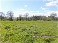 Maison, propriete, etang, hectare, golf, bretesche, propriete equestre, maison charme, maison campagne, isolee, nantes, vannes, pontchateau, 44160, missillac, 44780, penestin, la baule, loire atlantique, 44, morbihan, 56, vente, agence immobiliere