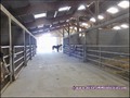 propriete equestre,haras,elevage,chevaux,centre entrainement,ecurie,centre equestre,propriete hectare,propriete rurale,maison hectare,propriete agricole,propriete rurale,a vendre,vente,maison hectare,44,loire atlantique,pays de la loire