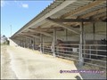 propriete equestre,haras,elevage,chevaux,centre entrainement,ecurie,centre equestre,propriete hectare,propriete rurale,maison hectare,propriete agricole,propriete rurale,a vendre,vente,maison hectare,44,loire atlantique,pays de la loire
