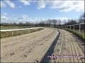 propriete equestre,haras,elevage,chevaux,centre entrainement,ecurie,centre equestre,propriete hectare,propriete rurale,maison hectare,propriete agricole,propriete rurale,a vendre,vente,maison hectare,44,loire atlantique,pays de la loire