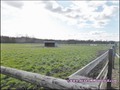 propriete equestre,haras,elevage,chevaux,centre entrainement,ecurie,centre equestre,propriete hectare,propriete rurale,maison hectare,propriete agricole,propriete rurale,a vendre,vente,maison hectare,44,loire atlantique,pays de la loire