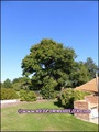 maison,propriete,longere,a vendre,piscine,hectare,propriete equestre,vente,achat,agence immobiliere,nantes,44,coueron,44220,st etienne montluc,44360,sautron,44880,saint herblain,44800,loire atlantique,french property for sale,real estate agency,france,bri