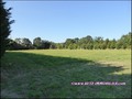 maison,propriete,longere,a vendre,piscine,hectare,propriete equestre,vente,achat,agence immobiliere,nantes,44,coueron,44220,st etienne montluc,44360,sautron,44880,saint herblain,44800,loire atlantique,french property for sale,real estate agency,france,bri