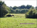 maison,propriete,longere,a vendre,piscine,hectare,propriete equestre,vente,achat,agence immobiliere,nantes,44,coueron,44220,st etienne montluc,44360,sautron,44880,saint herblain,44800,loire atlantique,french property for sale,real estate agency,france,bri