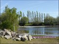 maison,propriete,dependance,hectare,propriete equestre,profession liberale,etang,boxes,prairie, chevaux,a vendre,vente,achat,agence immobiliere,french property for sale,house for sale, loire,ancenis,44,oudon,mesanger,couffe,ligne,mouzeil