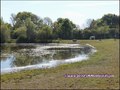 maison,propriete,dependance,hectare,propriete equestre,profession liberale,etang,boxes,prairie, chevaux,a vendre,vente,achat,agence immobiliere,french property for sale,house for sale, loire,ancenis,44,oudon,mesanger,couffe,ligne,mouzeil