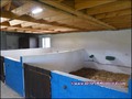 maison,propriete,dependance,hectare,propriete equestre,profession liberale,etang,boxes,prairie, chevaux,a vendre,vente,achat,agence immobiliere,french property for sale,house for sale, loire,ancenis,44,oudon,mesanger,couffe,ligne,mouzeil