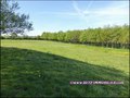 maison,propriete,dependance,hectare,propriete equestre,profession liberale,etang,boxes,prairie, chevaux,a vendre,vente,achat,agence immobiliere,french property for sale,house for sale, loire,ancenis,44,oudon,mesanger,couffe,ligne,mouzeil